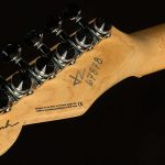 Greg Koch Signature Gristlemaster