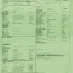 Wildwood 10 1957 Stratocaster - NOS