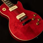 Artist Collection Warren Haynes Signature Les Paul Standard