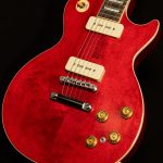 Artist Collection Warren Haynes Signature Les Paul Standard