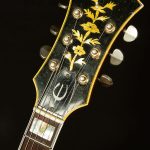 Vintage 1965 Epiphone Sheraton