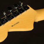 2017 Fender American Professional Stratocaster