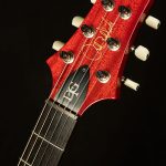 2024 PRS Guitars Limited DGT Semi-Hollow - One of 200 Pieces Worldwide