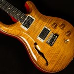 2024 PRS Guitars Limited DGT Semi-Hollow - One of 200 Pieces Worldwide