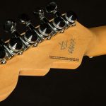 Wildwood-Exclusive Spy