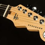 Wildwood-Exclusive Spy