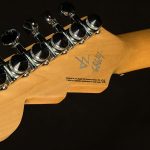 Wildwood-Exclusive Spy