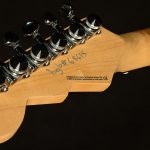 Wildwood-Exclusive Spy