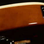 Wildwood-Exclusive Spy