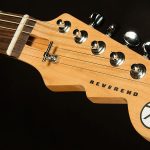 Wildwood-Exclusive Spy