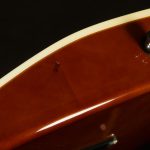 Wildwood-Exclusive Spy