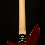 Wildwood-Exclusive Spy