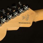 Wildwood-Exclusive Spy