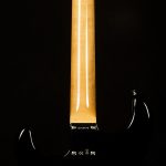 Wildwood 10 1961 Stratocaster - NOS