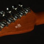 2001 Tom Anderson Cobra S