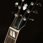 Hummingbird Standard