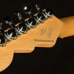 Wildwood-Exclusive Spy