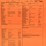 Wildwood 10 1957 Stratocaster - NOS