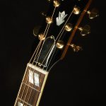 Modern Collection Hummingbird Standard Rosewood EC