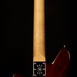 Wildwood-Exclusive Descent W