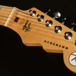 Wildwood-Exclusive Descent W