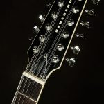 Wildwood-Exclusive Airwave 12-String