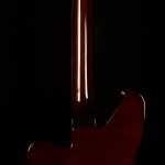 Wildwood-Exclusive Airwave 12-String