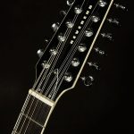Wildwood-Exclusive Airwave 12-String