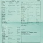 Wildwood 10 1951 Nocaster - NOS