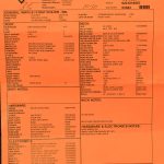 Wildwood 10 1961 Stratocaster - NOS