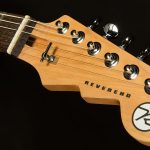 Wildwood-Exclusive Spy