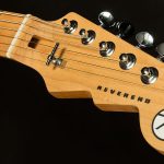 Wildwood-Exclusive Spy