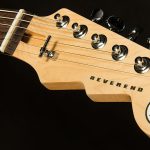 Wildwood-Exclusive Spy