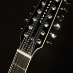 Wildwood-Exclusive Airwave 12-String