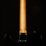 Wildwood 10 1951 Nocaster - Closet Classic