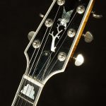 1990 Heritage Golden Eagle