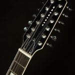 Wildwood-Exclusive Airwave 12-String