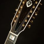 F-512E Rosewood - Antique Burst